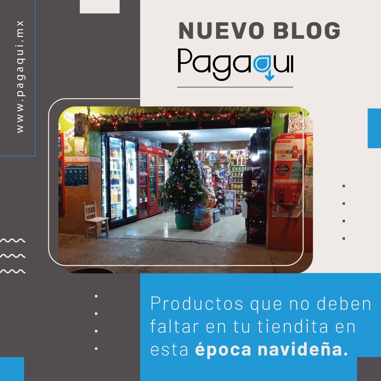 PRODUCTOS QUE NO DEBEN FALTAR EN TU TIENDA ESTA ÉPOCA NAVIDEÑA
