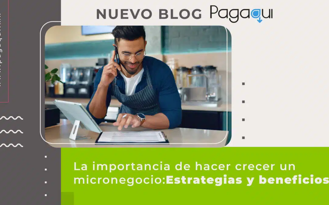 La Importancia de Hacer Crecer un Micronegocio: Estrategias y Beneficios